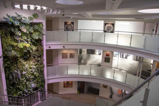 Kadrioru Galerii 2025